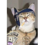 Trapcats
