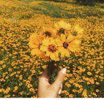 STAY KIND!!!