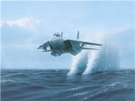 Ninja Air Force
