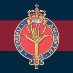 Welsh Officer Academy [ONLY OFFICERS]