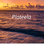 Plateela