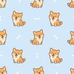 Shiba Development.