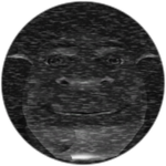 Shrek