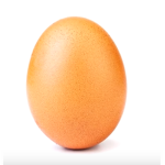 Can We Get This Egg To The Front Page?