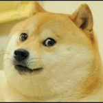 Doge Cafe! (Cafe Roleplay)
