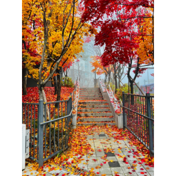 선우가 만든 오비