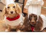 Bacon the boys