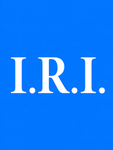 Investigations of Roblox Incidents