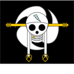 The Flash Pirates