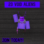 23 VOID