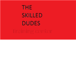 the skilled dudes