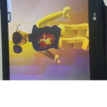 The dunkee fan clan