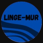 Lingemur team