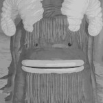 Echoes of the Ancestors