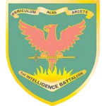 [AA] 1st Intelligence Battalion