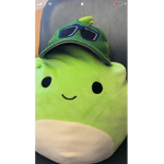 sir Meows a lot is awsome so is yoshi
