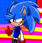 The sonicgamer fan group
