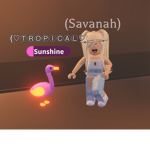 SAFARI HANGOUT