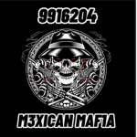 M3XICAN MAF1A