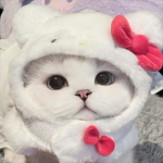 *+*Jia’s Avatar Ranking*+*