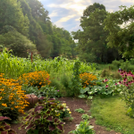 The Garden Party