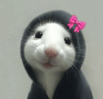 Fang’s Rats