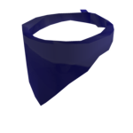 Blue Bandit Owners