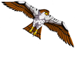 The Bird Group