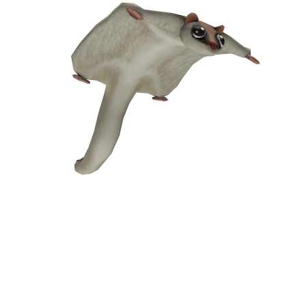 Flying Squirrel Friend