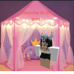 rix’s 10 dollar princess tent from dollar tree