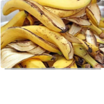 BANANA01