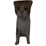 lovely's cat