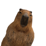 DaDogeStudios