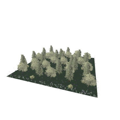 Forest Map with barriers