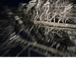 Røsez