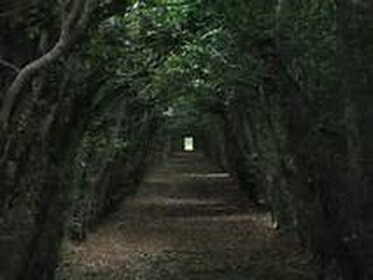 Run (BETA)
