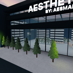 Aesthetic Clothing Store