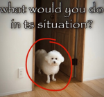 Tell me anything wrong with anything I made
