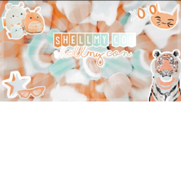 shellmy con