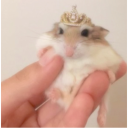 ୨୧