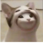 my friends are Beautiful but theyre bullying me :(