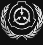 [USAF] United Stated Air Force