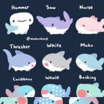 Mako Mako_sharky