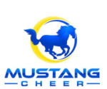 Mustang Cheer All-Starz