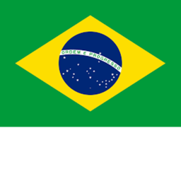 Brazil icon