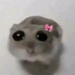 -hammy_hamster-