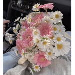 Cillarose Group Thumbnail