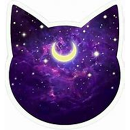 Galaxy kitty hangout :P