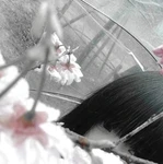⸝⸝ きえないゆめ 。⸝⸝ Group Thumbnail