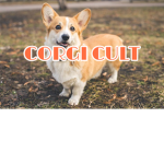 The_Corgi_Cult